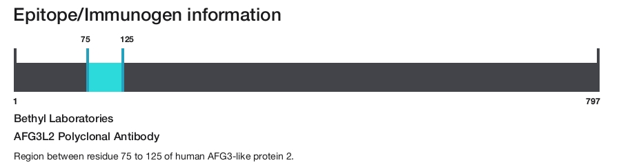 AFG3L2 Polyclonal Antibody