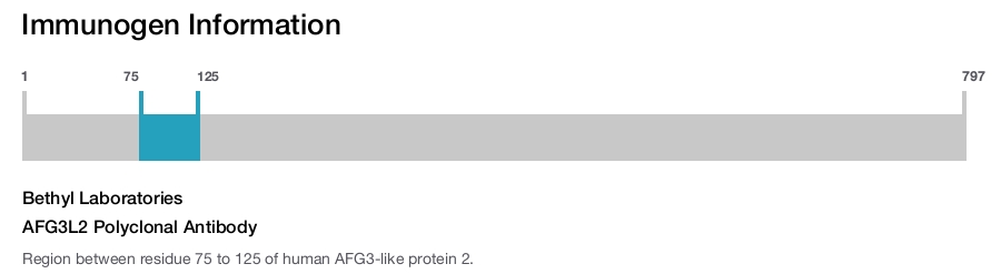 AFG3L2 Polyclonal Antibody