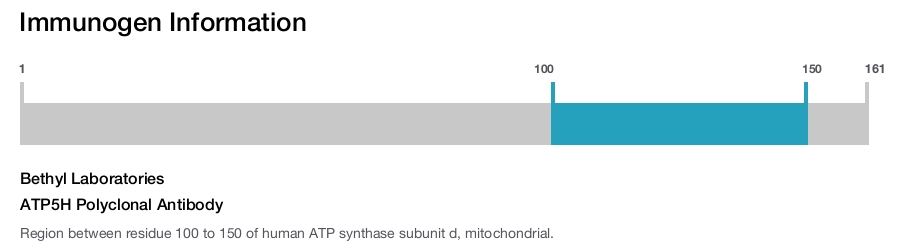 ATP5H Polyclonal Antibody