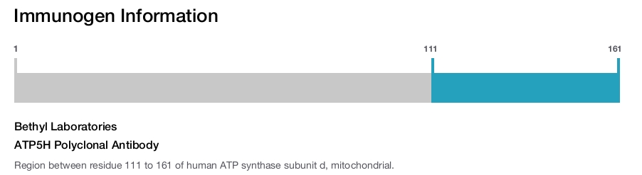 ATP5H Polyclonal Antibody