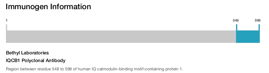 IQCB1 Polyclonal Antibody