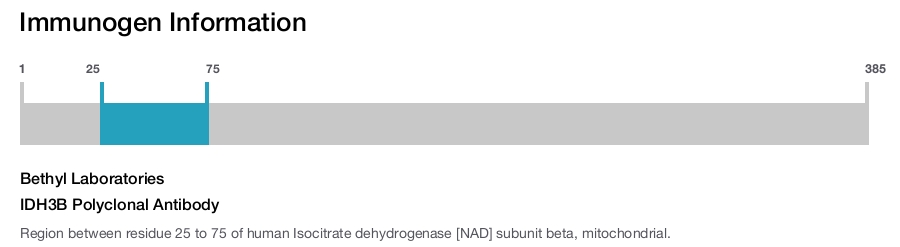 IDH3B Polyclonal Antibody