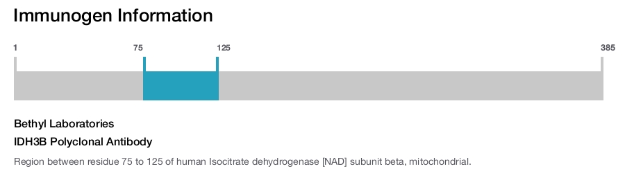 IDH3B Polyclonal Antibody
