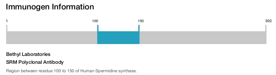 SRM Polyclonal Antibody