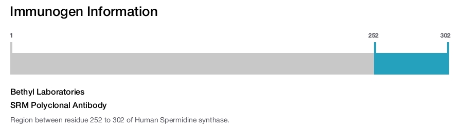 SRM Polyclonal Antibody