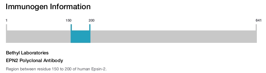 EPN2 Polyclonal Antibody