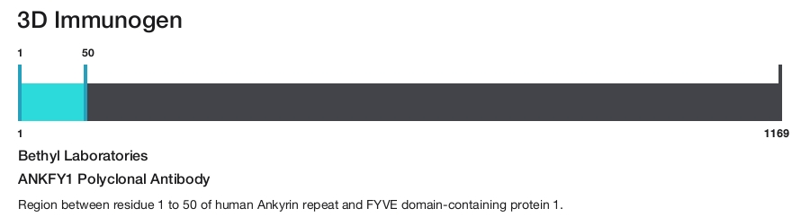 ANKFY1 Polyclonal Antibody