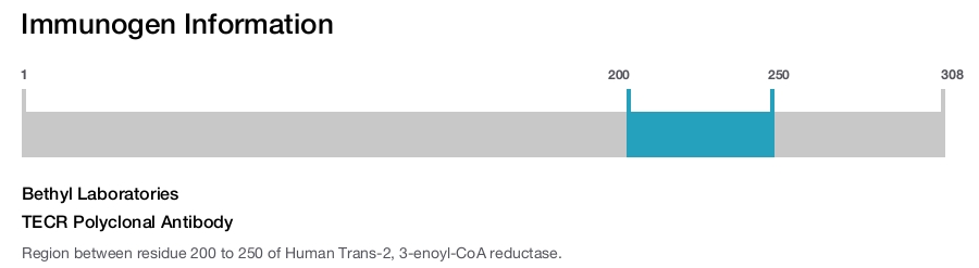 TECR Polyclonal Antibody