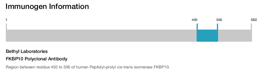 FKBP10 Polyclonal Antibody