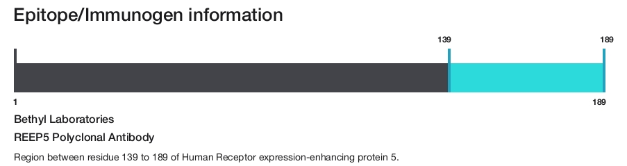 REEP5 Polyclonal Antibody