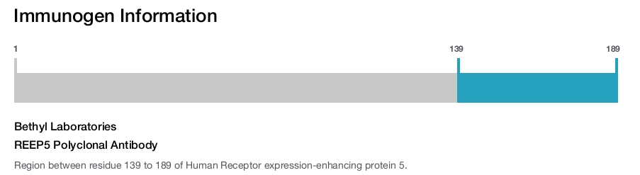 REEP5 Polyclonal Antibody
