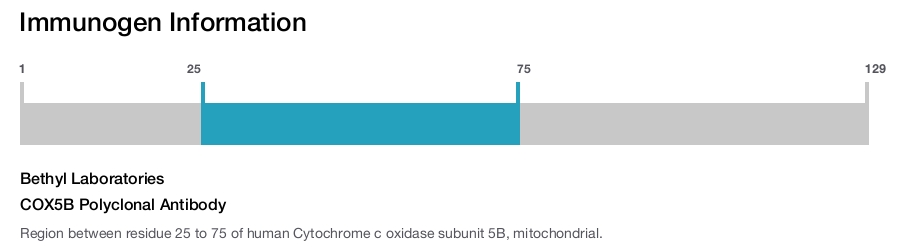 COX5B Polyclonal Antibody