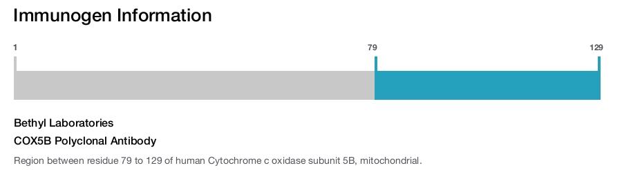 COX5B Polyclonal Antibody