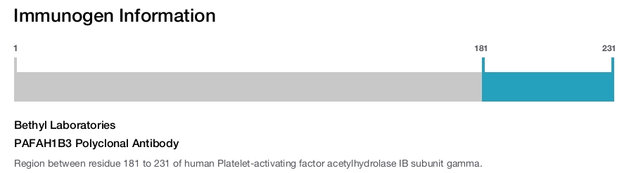 PAFAH1B3 Polyclonal Antibody