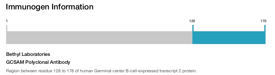 GCSAM Polyclonal Antibody