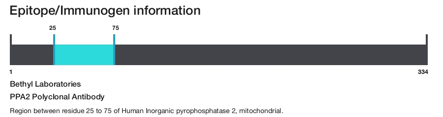PPA2 Polyclonal Antibody