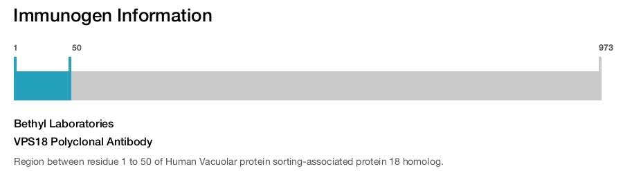 VPS18 Polyclonal Antibody