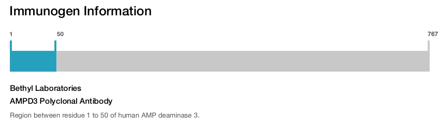 AMPD3 Polyclonal Antibody
