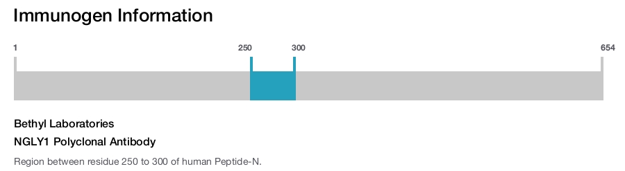 NGLY1 Polyclonal Antibody