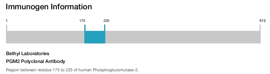 PGM2 Polyclonal Antibody