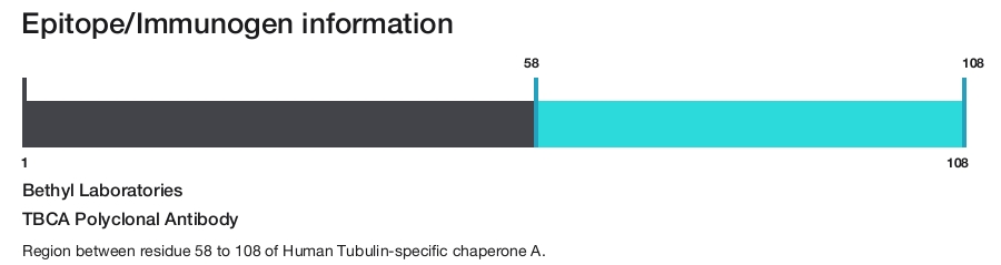 TBCA Polyclonal Antibody
