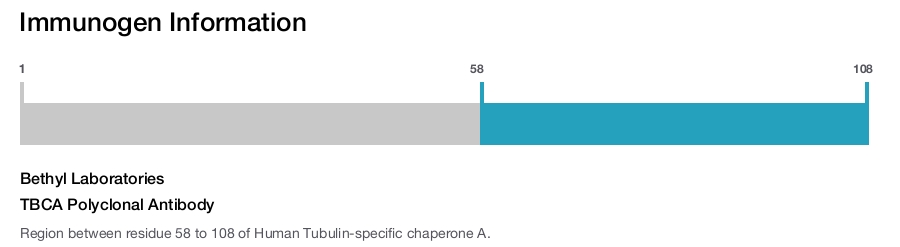 TBCA Polyclonal Antibody