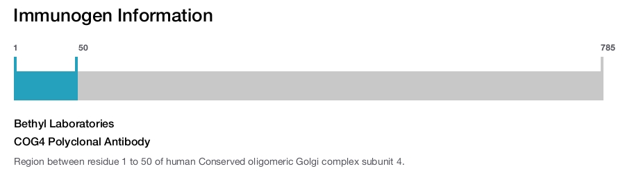 COG4 Polyclonal Antibody