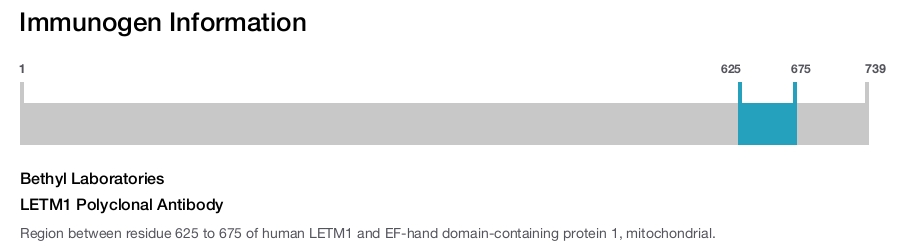 LETM1 Polyclonal Antibody