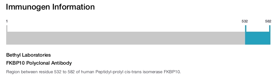 FKBP10 Polyclonal Antibody