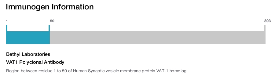 VAT1 Polyclonal Antibody