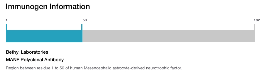 MANF Polyclonal Antibody