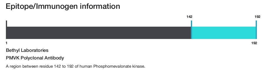 PMVK Polyclonal Antibody