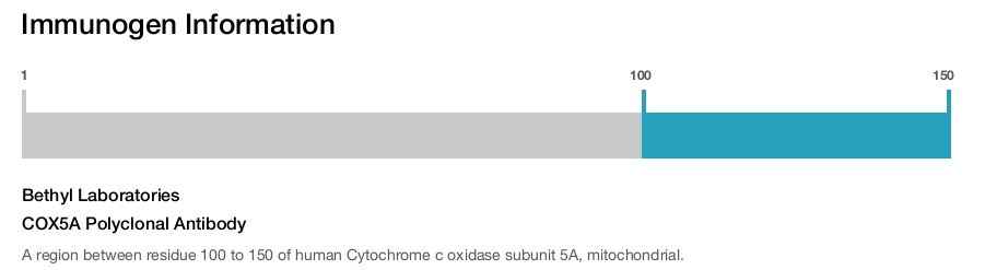 COX5A Polyclonal Antibody