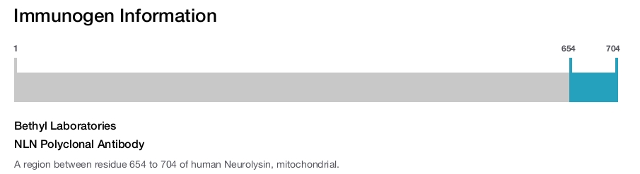 NLN Polyclonal Antibody