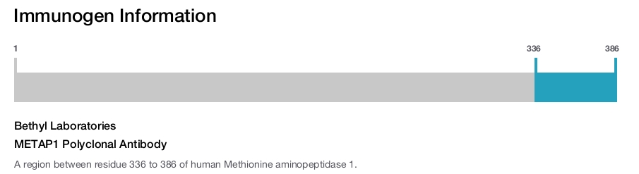 METAP1 Polyclonal Antibody