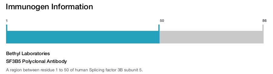 SF3B5 Polyclonal Antibody