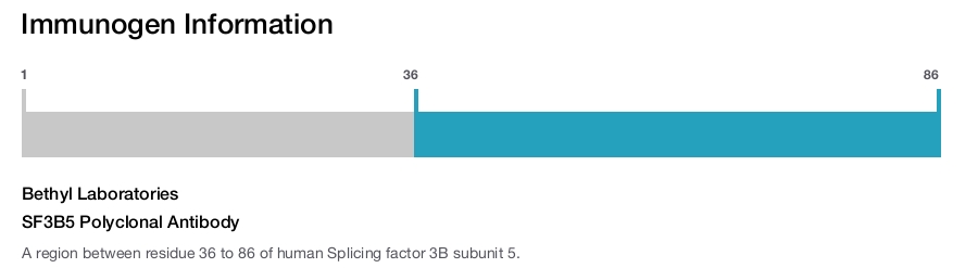 SF3B5 Polyclonal Antibody