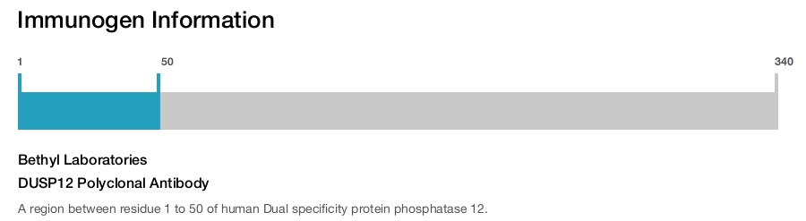 DUSP12 Polyclonal Antibody