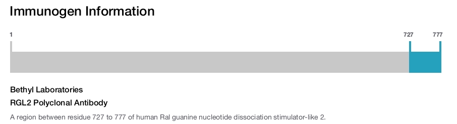 RGL2 Polyclonal Antibody