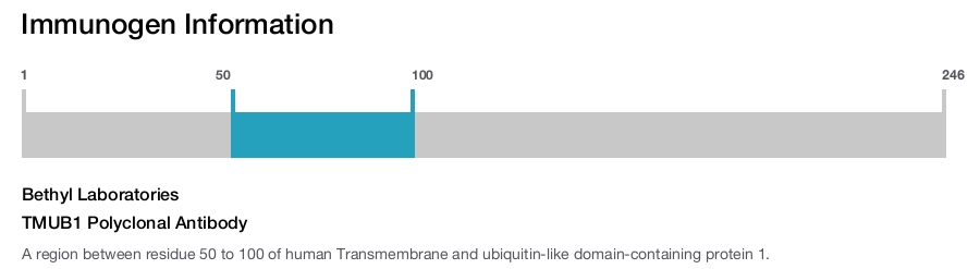TMUB1 Polyclonal Antibody