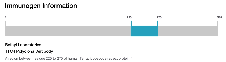 TTC4 Polyclonal Antibody