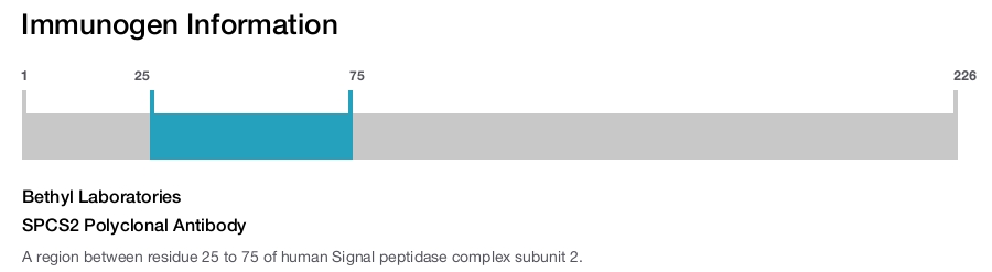 SPCS2 Polyclonal Antibody