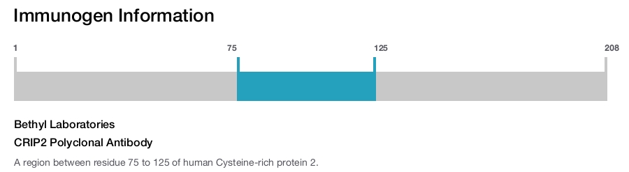 CRIP2 Polyclonal Antibody