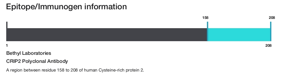 CRIP2 Polyclonal Antibody