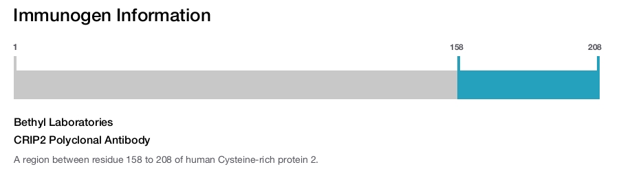 CRIP2 Polyclonal Antibody