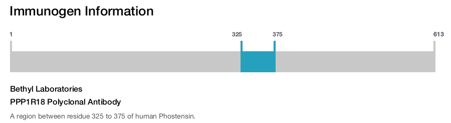 PPP1R18 Polyclonal Antibody