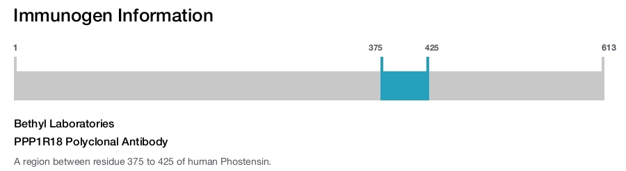 PPP1R18 Polyclonal Antibody