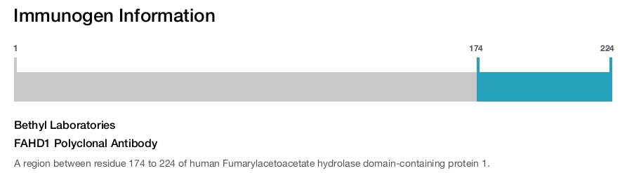 FAHD1 Polyclonal Antibody