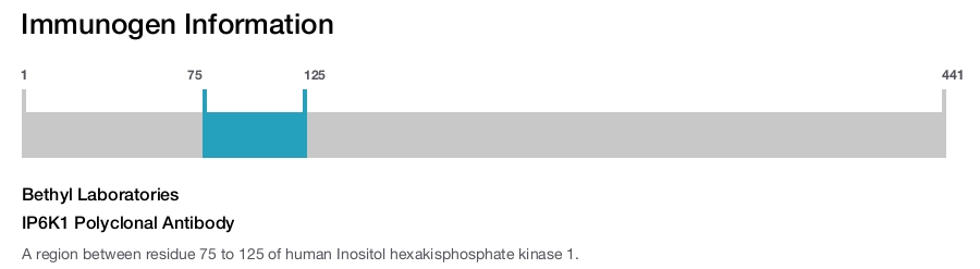 IP6K1 Polyclonal Antibody