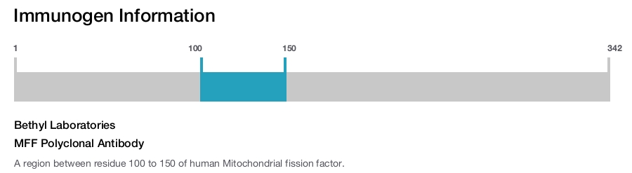 MFF Polyclonal Antibody